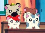 Hamtaro - image 4