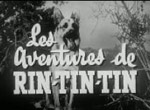 Rin-Tin-Tin